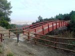 DSC07769.JPG