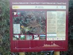 DSC07767.JPG