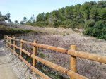 DSC07765.JPG