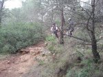 2011-12-03 10.35.08.jpg
