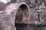 IMAG0266.jpg