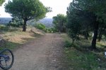 IMAG0256.jpg