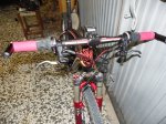 DSCF1742.JPG