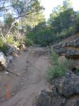 CIMG0812.jpg