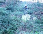 DSCF4461.JPG