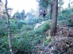 DSCF4462.JPG