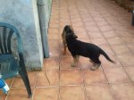 2011-12-03 12.53.01 (Copiar).jpg