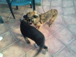 2011-12-03 12.53.11 (Copiar).jpg