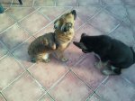 2011-12-03 12.57.22 (Copiar).jpg
