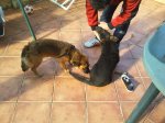 2011-12-03 12.59.12 (Copiar).jpg