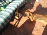 2011-12-03 13.02.54 (Copiar).jpg