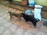 2011-12-03 13.08.07 (Copiar).jpg