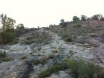 IMG_0773.JPG