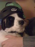 uploadfromtaptalk1323031944681.jpg