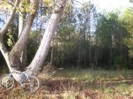 PC040006.JPG
