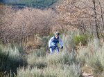 PC040003 (Copiar).JPG
