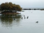 DSCF5620.jpg