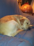 2011-11-12 23.14.11.jpg
