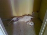 Foto0002.jpg