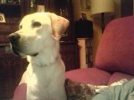 image201012220003.jpg