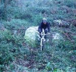 DSCF4456.JPG