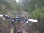 IMG-20111204-00075.jpg