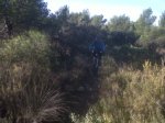 IMG-20111204-00080.jpg