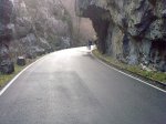 Imagen0530.jpg