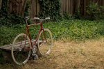 red-track-bike-112_2.jpg