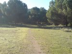 DSC07813.JPG