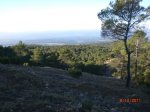 CIMG0852.jpg