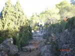 CIMG0870.jpg