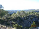 CIMG0903.jpg