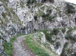 IMG_2024 (Copiar).JPG