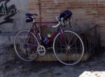 Cuadro T56.jpg