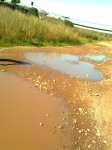 Imagen0735.jpg