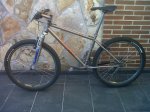 mongoose DX.jpg
