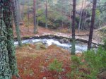 Foto15.JPG