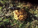 DSC02905.JPG