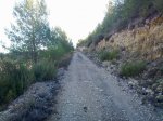 mini-061220111128.jpg