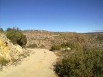 mini-061220111136.jpg