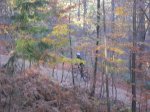 SAM_0896.JPG