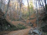 SAM_0906.JPG