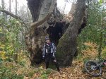 SAM_0928.JPG