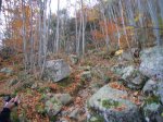 SAM_0930.JPG