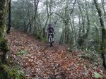 DSC02517.jpg