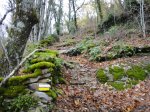 DSC02550.jpg