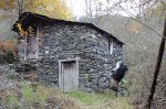 DSC02577.jpg