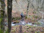 DSC02578.jpg