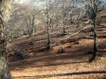 IMG_0044.JPG